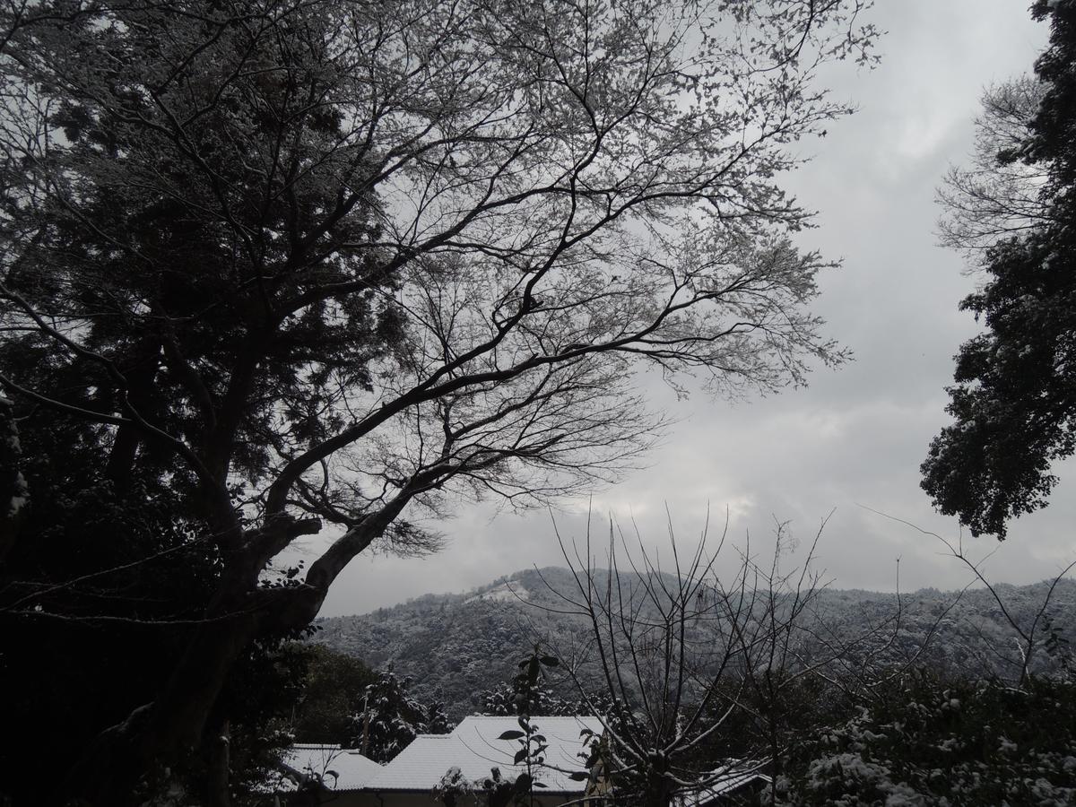 Ryokan Inn Yoshida-Sanso كيوتو المظهر الخارجي الصورة